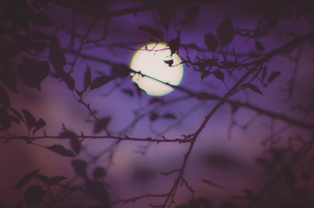 La huitième lune: j’ai une conscience