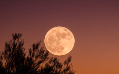 La neuvième lune : Je Suis Responsable